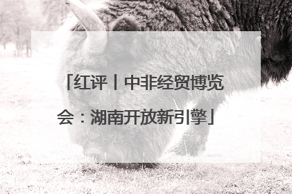 红评丨中非经贸博览会：湖南开放新引擎