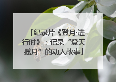 纪录片《登月·进行时》：记录“登天揽月”的动人故事