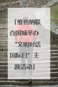 维也纳联合国城举办“文明对话国际日”主题活动