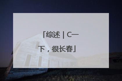 综述｜C一下，很长春