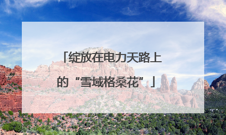绽放在电力天路上的“雪域格桑花”