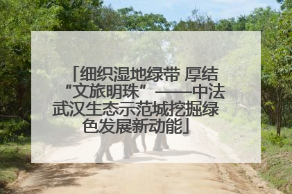 细织湿地绿带 厚结“文旅明珠”——中法武汉生态示范城挖掘绿色发展新动能