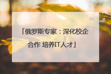 俄罗斯专家：深化校企合作 培养IT人才