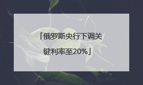 俄罗斯央行下调关键利率至20%