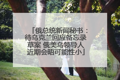 俄总统新闻秘书：待乌克兰回应备忘录草案 俄美乌领导人近期会晤可能性小