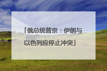 俄总统普京：伊朗与以色列应停止冲突