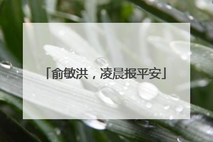俞敏洪，凌晨报平安