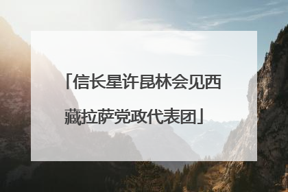 信长星许昆林会见西藏拉萨党政代表团