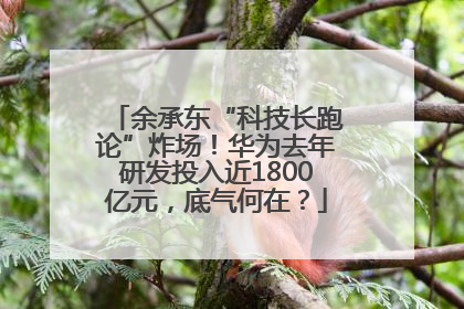 余承东“科技长跑论”炸场！华为去年研发投入近1800亿元，底气何在？