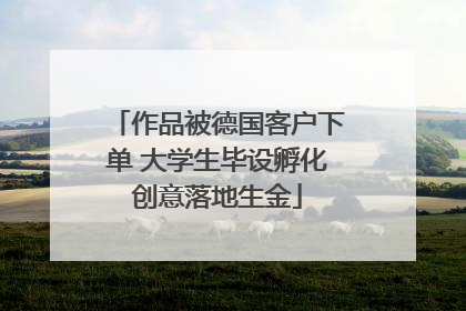作品被德国客户下单 大学生毕设孵化创意落地生金