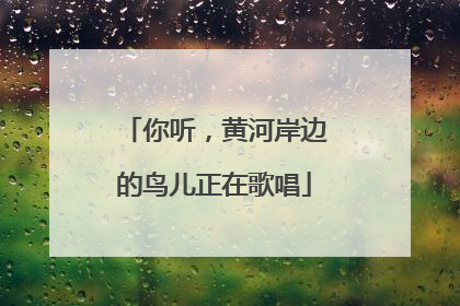 你听，黄河岸边的鸟儿正在歌唱