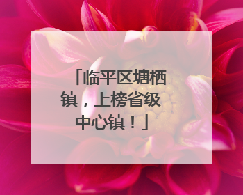 临平区塘栖镇，上榜省级中心镇！