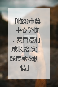 临汾市第一中心学校：麦香浸润成长路 实践传承农耕情