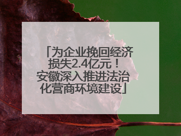 为企业挽回经济损失2.4亿元！安徽深入推进法治化营商环境建设