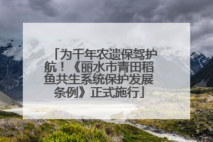 为千年农遗保驾护航！《丽水市青田稻鱼共生系统保护发展条例》正式施行