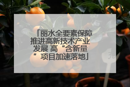 丽水全要素保障推进高新技术产业发展 高“含新量”项目加速落地