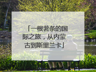一根薯条的国际之旅，从内蒙古到斯里兰卡