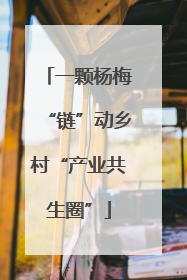 一颗杨梅“链”动乡村“产业共生圈”