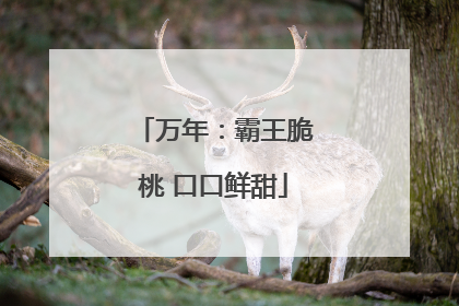 万年：霸王脆桃 口口鲜甜
