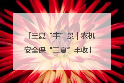 三夏“丰”景｜农机安全保“三夏”丰收