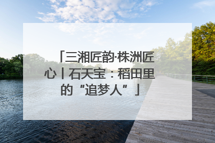 三湘匠韵·株洲匠心丨石天宝：稻田里的“追梦人”