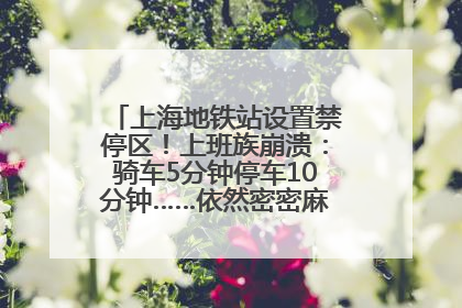 上海地铁站设置禁停区！上班族崩溃：骑车5分钟停车10分钟……依然密密麻麻无从下脚？