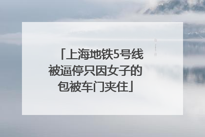 上海地铁5号线被逼停只因女子的包被车门夹住