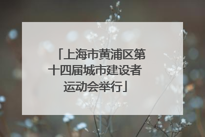 上海市黄浦区第十四届城市建设者运动会举行