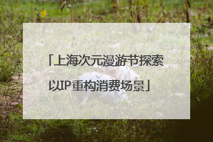 上海次元漫游节探索以IP重构消费场景