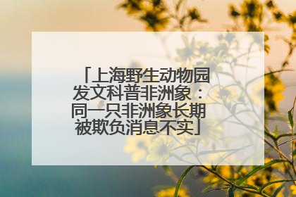 上海野生动物园发文科普非洲象：同一只非洲象长期被欺负消息不实