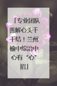 专业团队善解心头千千结！兰州榆中综治中心有“心”招