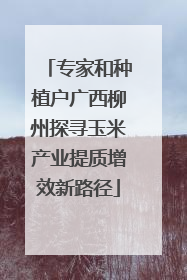 专家和种植户广西柳州探寻玉米产业提质增效新路径