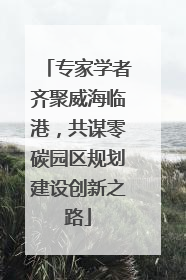 专家学者齐聚威海临港，共谋零碳园区规划建设创新之路