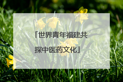 世界青年福建共探中医药文化