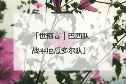世预赛｜巴西队战平厄瓜多尔队