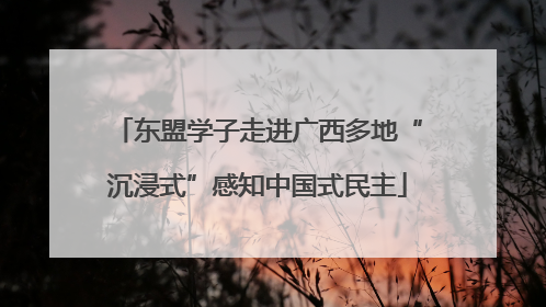 东盟学子走进广西多地“沉浸式”感知中国式民主