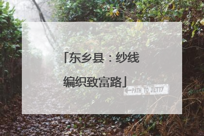 东乡县：纱线编织致富路