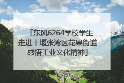 东风6264学校学生走进十堰张湾区花果街道感悟工业文化精神