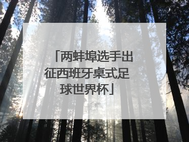两蚌埠选手出征西班牙桌式足球世界杯