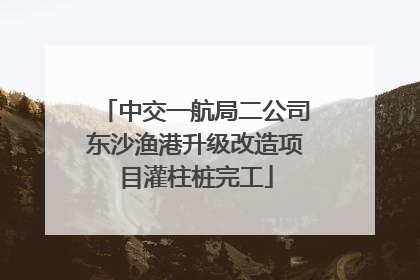 中交一航局二公司东沙渔港升级改造项目灌柱桩完工