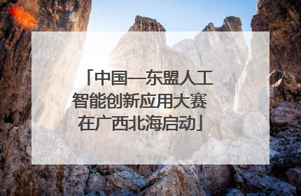中国—东盟人工智能创新应用大赛在广西北海启动