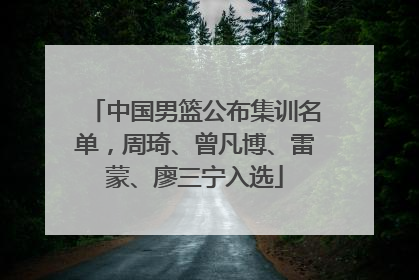 中国男篮公布集训名单，周琦、曾凡博、雷蒙、廖三宁入选