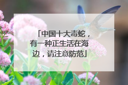 中国十大毒蛇，有一种正生活在海边，请注意防范