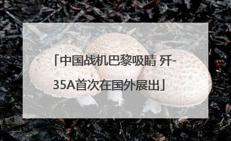 中国战机巴黎吸睛 歼-35A首次在国外展出