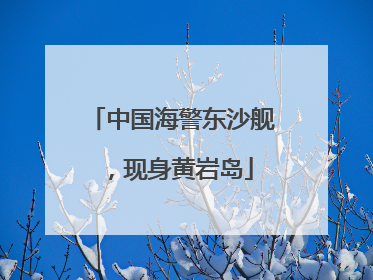 中国海警东沙舰，现身黄岩岛
