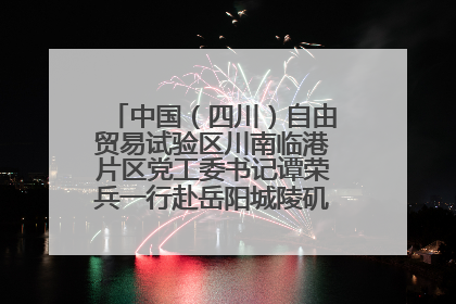 中国（四川）自由贸易试验区川南临港片区党工委书记谭荣兵一行赴岳阳城陵矶综保区考察