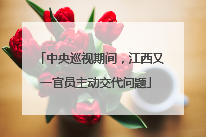 中央巡视期间，江西又一官员主动交代问题