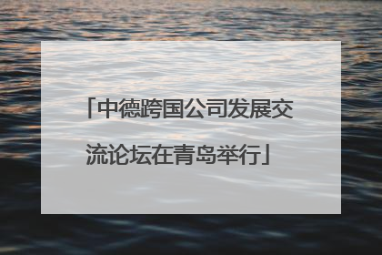 中德跨国公司发展交流论坛在青岛举行