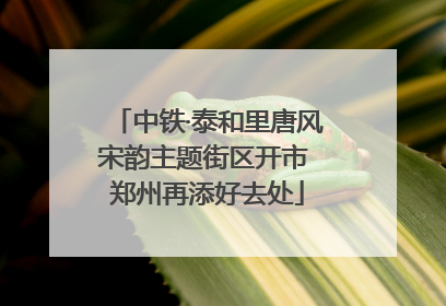 中铁·泰和里唐风宋韵主题街区开市 郑州再添好去处