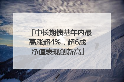 中长期债基年内最高涨超4%，超6成净值表现创新高